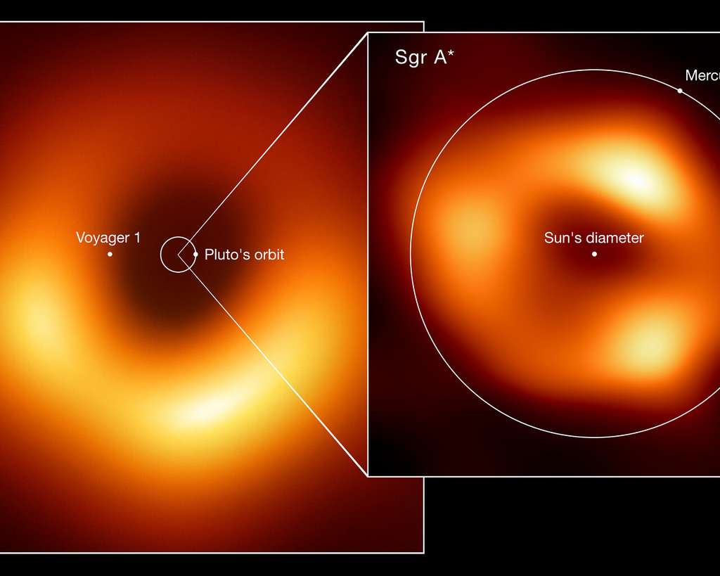 Comparaison de la taille des deux trous noirs imagés par la collaboration Event Horizon Telescope (EHT) : M87*, au cœur de la galaxie Messier 87, et Sagittarius A* (Sgr A*), au centre de la Voie lactée. L'image montre l'échelle de Sgr A* par rapport à M87* et à d'autres éléments du Système solaire tels que les orbites de Pluton et de Mercure. Le diamètre du Soleil et la position actuelle de la sonde spatiale Voyager 1, le vaisseau spatial le plus éloigné de la Terre, sont également affichés. M87*, qui se trouve à 55 millions d'années-lumière, est l'un des plus grands trous noirs connus. Alors que Sgr A*, situé à 27.000 années-lumière, a une masse d'environ quatre millions de fois celle du Soleil, M87* pèse 1.500 fois ce chiffre. En raison de leur distance relative à la Terre, les deux trous noirs semblent avoir la même taille dans le ciel. © EHT collaboration (Lia Medeiros, xkcd)