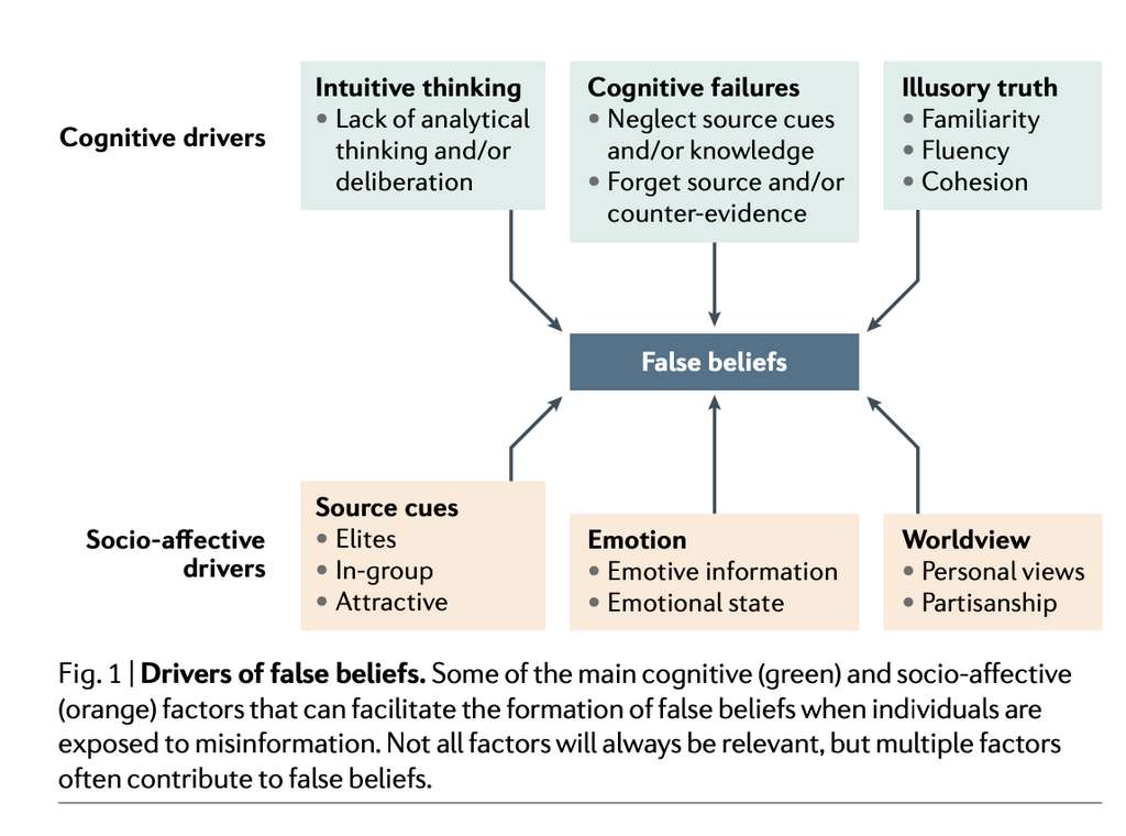 Les différents moteurs (cognitifs et socio-affectifs) de l'adhésion envers les fausses nouvelles. © Nature