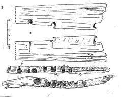 Les plus anciennes planchettes et forets à feu archéologiques, Grotte de Guitarerro, Perou, d'après Lynch, © Dessin Jacques Collina-Girard