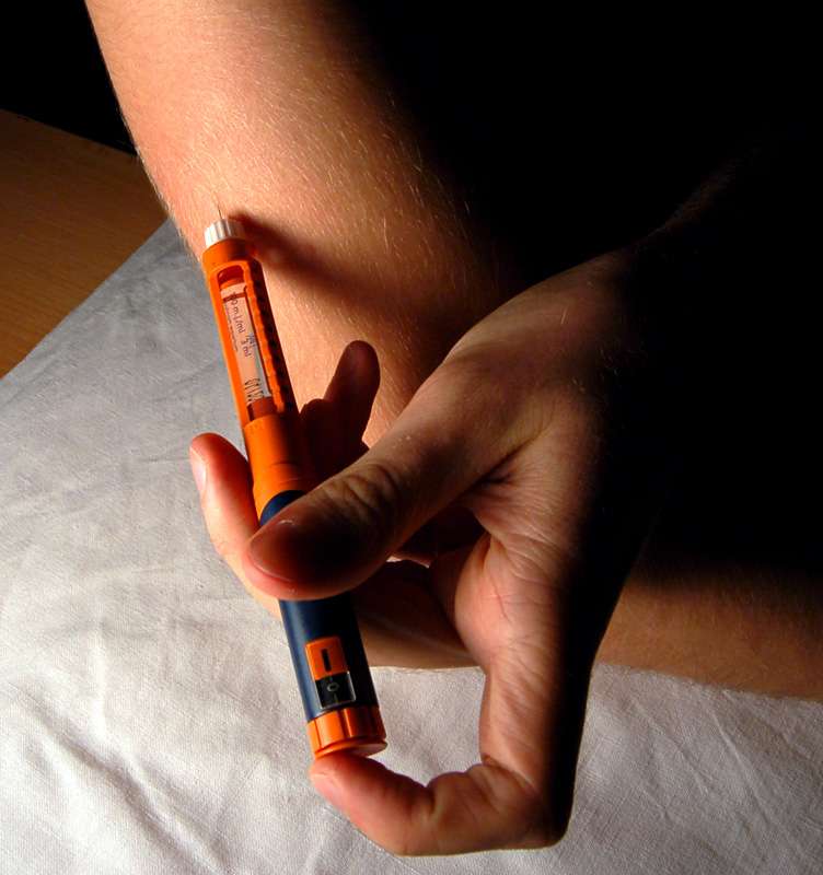 L'insuline est une hormone peptidique sécrétée par les cellules bêta du pancréas. Dans le cas du diabète de type 1 et certains diabètes de type 2, l'injection d'insuline est nécessaire. © Mr Hyde, Wikimedia Commons, cc by sa 3.0