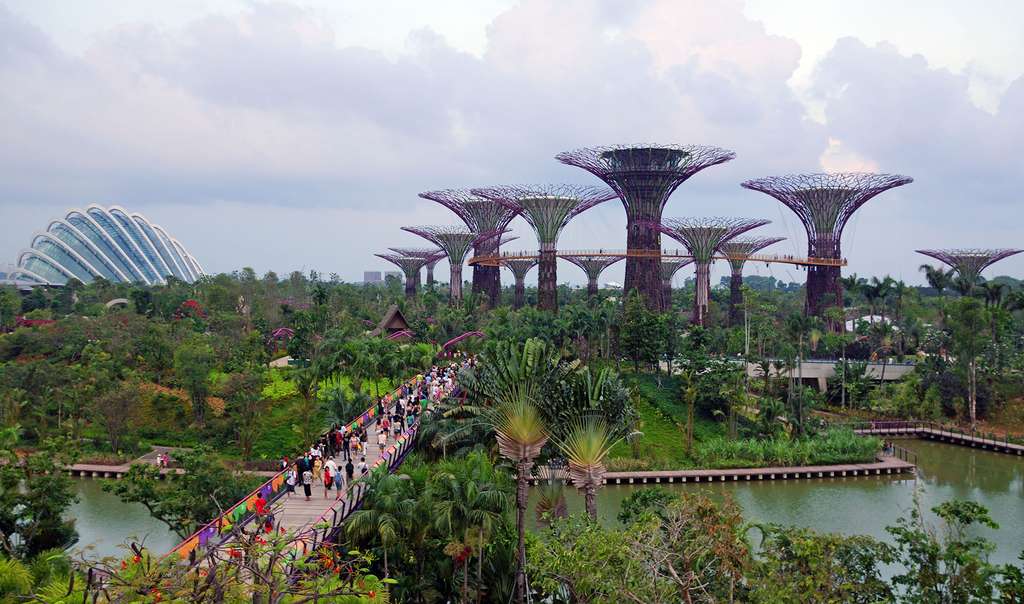 Le pont de la libellule et les 18 arbres de lumière Le pont de la libellule et les 18 arbres de lumière