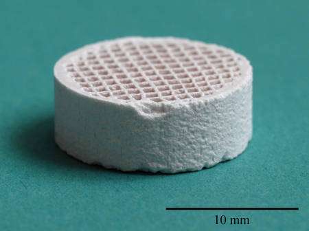 Un implant en céramique créé par les chercheurs. Crédit : University of Warwick