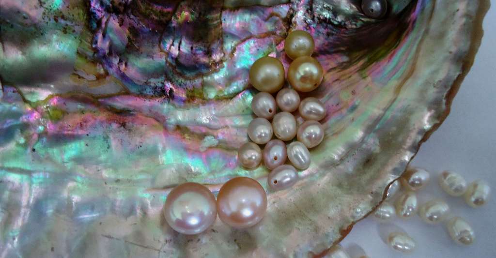 Différentes formes et couleurs de perles. © DP