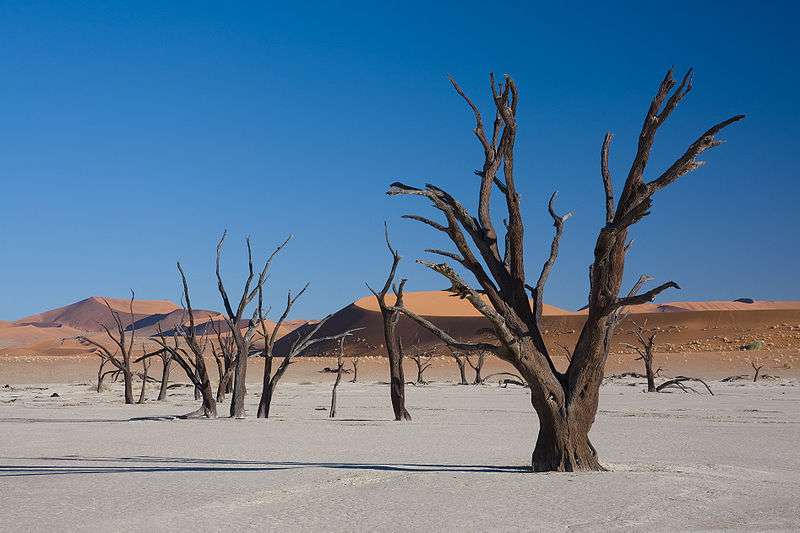Dead Vlei, en Namibie Dead Vlei, en Namibie