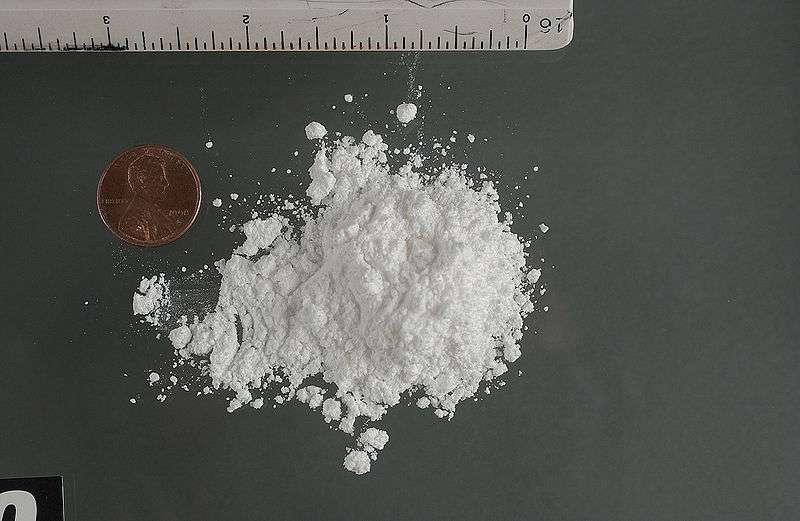 La cocaïne, issue de la coca, se consomme le plus souvent sous forme de poudre. Elle est connue pour ses effets psychotropes et addictifs et est illégale dans de nombreux pays. © Drug Enforcement Agency, Wikipédia, DP