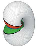 Illustration d'une autre forme topologique baptisée la Bouteille de Klein , conceptualisée par ce mathématicien en 1882. Cette surface, sans intérieur ni extérieur, et ne possédant aucun bord, tire son nom du fait qu'elle peut être assimilée à une bouteille dont on allongerait puis tordrait le goulot jusqu'à le faire pénétrer dans son corps pour le relier à son fond. © Konrad Polthier, T-U Berlin Illustration d'une autre forme topologique baptisée la Bouteille de Klein , conceptualisée par ce mathématicien en 1882. Cette surface, sans intérieur ni extérieur, et ne possédant aucun bord, tire son nom du fait qu'elle peut être assimilée à une bouteille dont on allongerait puis tordrait le goulot jusqu'à le faire pénétrer dans son corps pour le relier à son fond. © Konrad Polthier, T-U Berlin