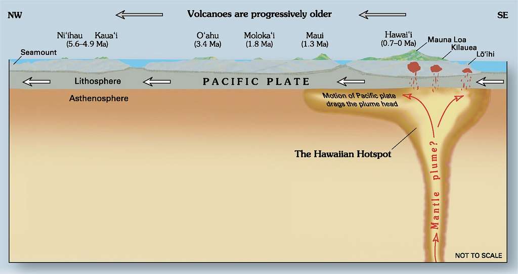 Diagramme montrant le point chaud d’Hawaï et le mouvement de la plaque Pacifique au-dessus. © Joel E. Robinson, USGS., Wikimedia Commons, domaine public