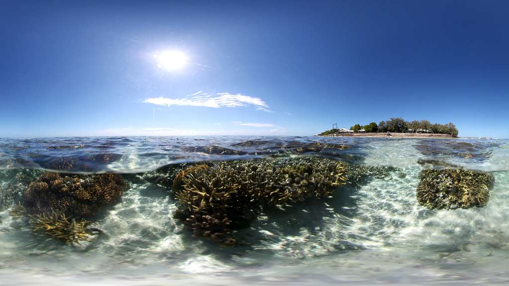 L’île Heron, au cœur de la Grande Barrière de corail L’île Heron, au cœur de la Grande Barrière de corail