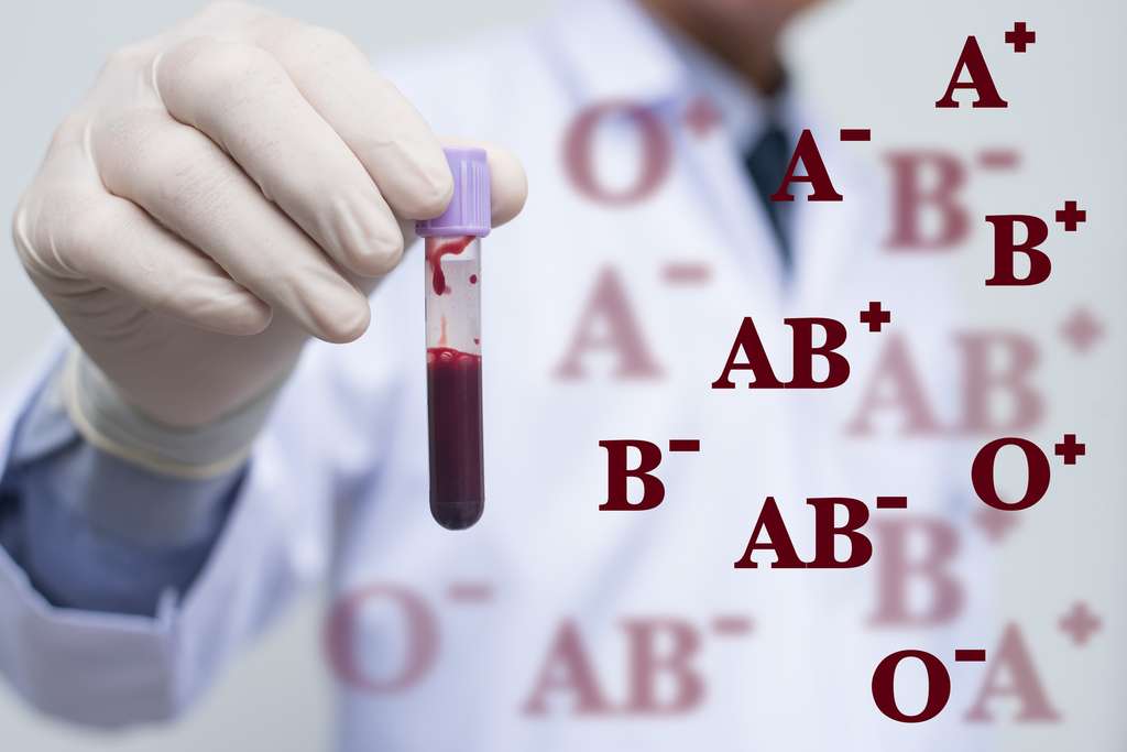  Les personnes sont réparties en 4 groupes sanguins selon la présence ou non, à la surface des globules rouges, de deux antigènes (A et B), et selon le ou les anticorps systématiquement présents dans le plasma correspondant aux antigènes absents. © c__tippapatt, Fotolia