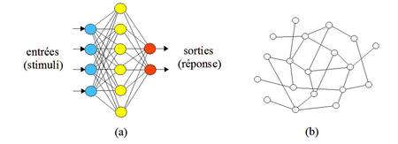 Dans le réseau de neurones en (a) dont les connexions sont unidirectionnelles et pondérées, le signal se propage de la gauche (entrées) vers la droite (sorties). Le réseau récurrent en (b) contient des cycles, et les connexions peuvent y être pondérées ou simplement binaires, unidirectionnelles ou bidirectionnelles. © Télécom Bretagne