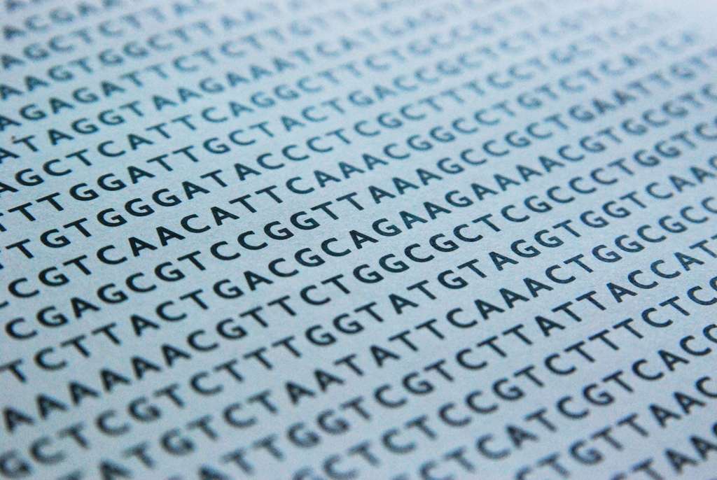 Le code génétique de l'ADN et ses nucléotides Le code génétique de l'ADN et ses nucléotides