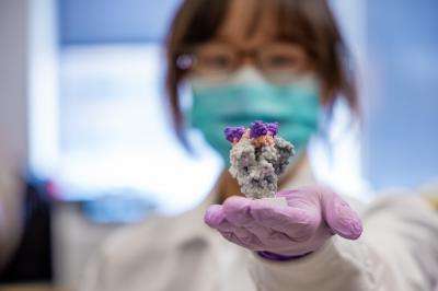 Un modèle 3D d'un nano-anticorps (violet) fixé sur la protéine S du SARS-CoV-2 (gris). © UPMC