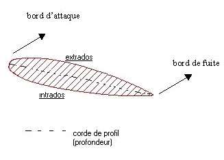 Profil d'une aile d'avion… ou d'oiseau ! © Reproduction et utilisation interdites