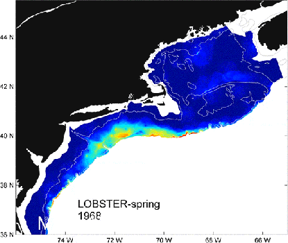 Le homard (lobster en anglais) du nord-est des États-Unis migre vers le nord selon une vitesse globale de 69,2 km par décennie. © Leah Lewis and D. Richardson, NOAA