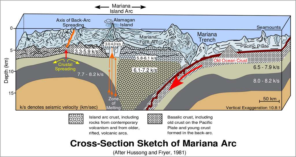 Le processus de subduction ayant lieu au niveau de la fosse Izu-Bonin-Mariannes, qui entraine la plaque Pacifique vers l’ouest. © Hussong, Fryer (1981), Vanessa Ezekowitz, Wikimedia Commons, CC by-sa 3.0