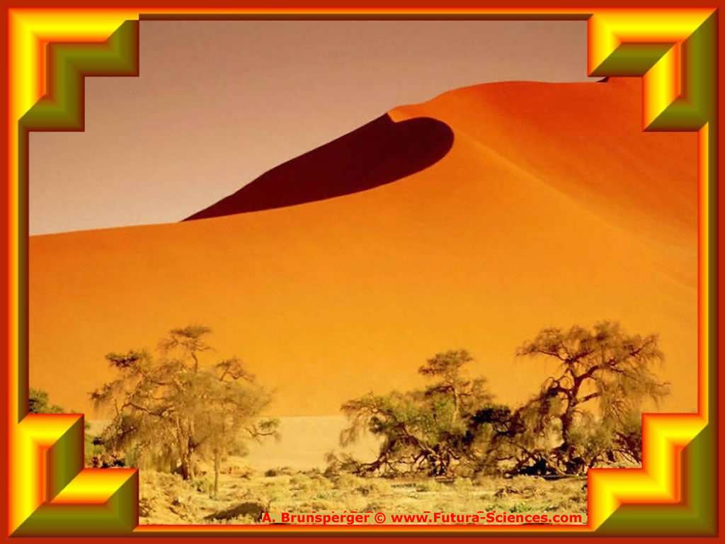 Sahara orangé