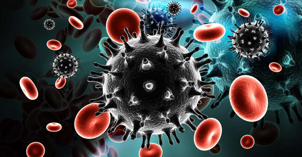 Virus du sida. © Raj Creationzs, Shutterstock