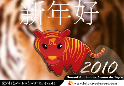 Nouvel an chinois Année du Tigre