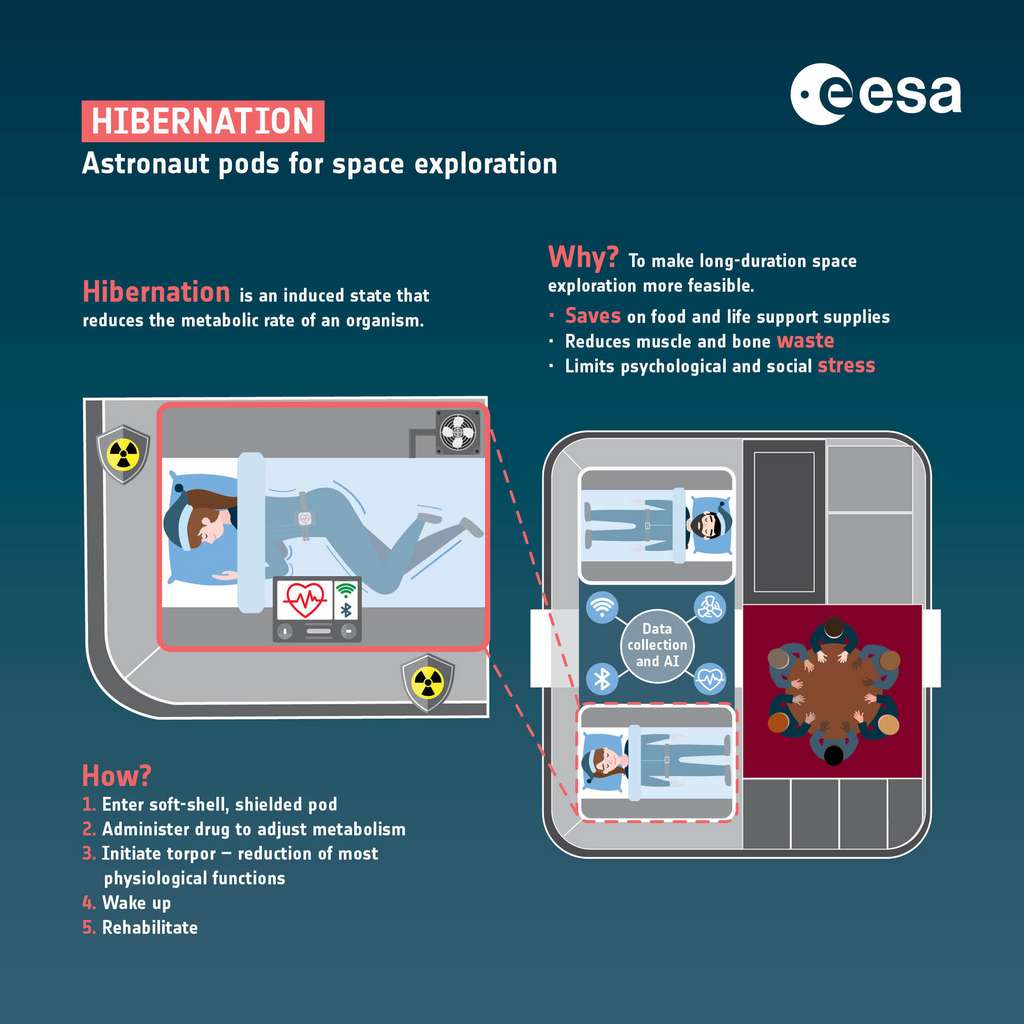 Voici comment les chercheurs de l'ESA imaginent la situation des astronautes plongés dans un état d'hibernation. © ESA