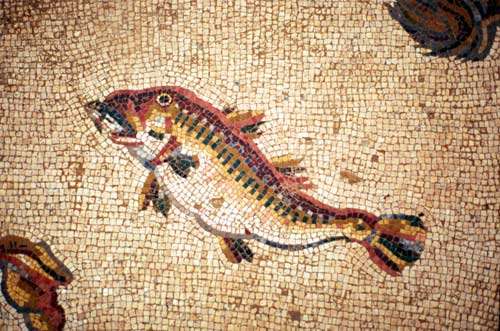 Détail d'une mosaïque représentant Poséidon, Okéanos et Téthys entourés de poissons et crustacés. © Catherine Abadie Reynal (Mission Zeugma) - Toute reproduction interdite