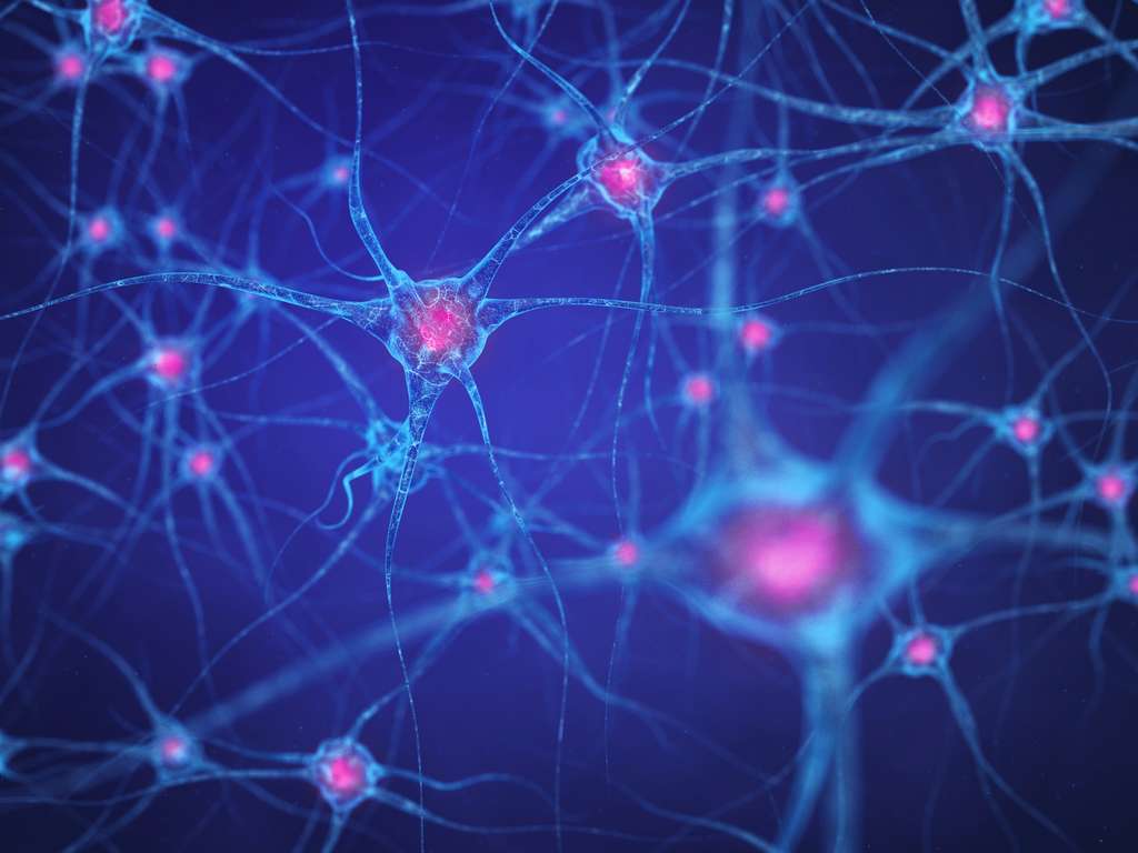 Le projet consiste à injecter des cellules souches pour former de nouveaux neurones qui vont se connecter et ramener le cerveau à la vie. © nobeastsofierce, Fotolia
