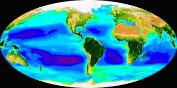 Carte de la concentration en chlorophylle (donc en phytoplancton) dans l’océan analysé par le capteur couleur SeaWiFS de la Nasa. La zone violette identifie la région, dans le Pacifique Sud, où la concentration en chlorophylle est la plus faible de l’océan mondial (2004). En se développant, le phénomène El Nino a un impact important sur la vie marine. © SeaWiFS Project, Nasa, GSFC, Orbimage