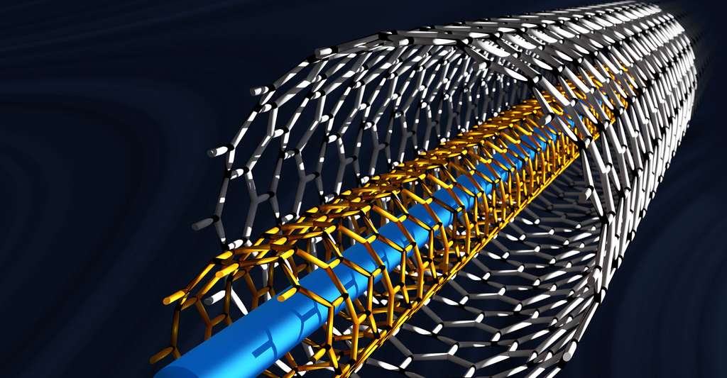 Les avancées en nanoscience ont mené à la nanotechnologie. Ici, un nanotube de carbone. © Forance, Shutterstock