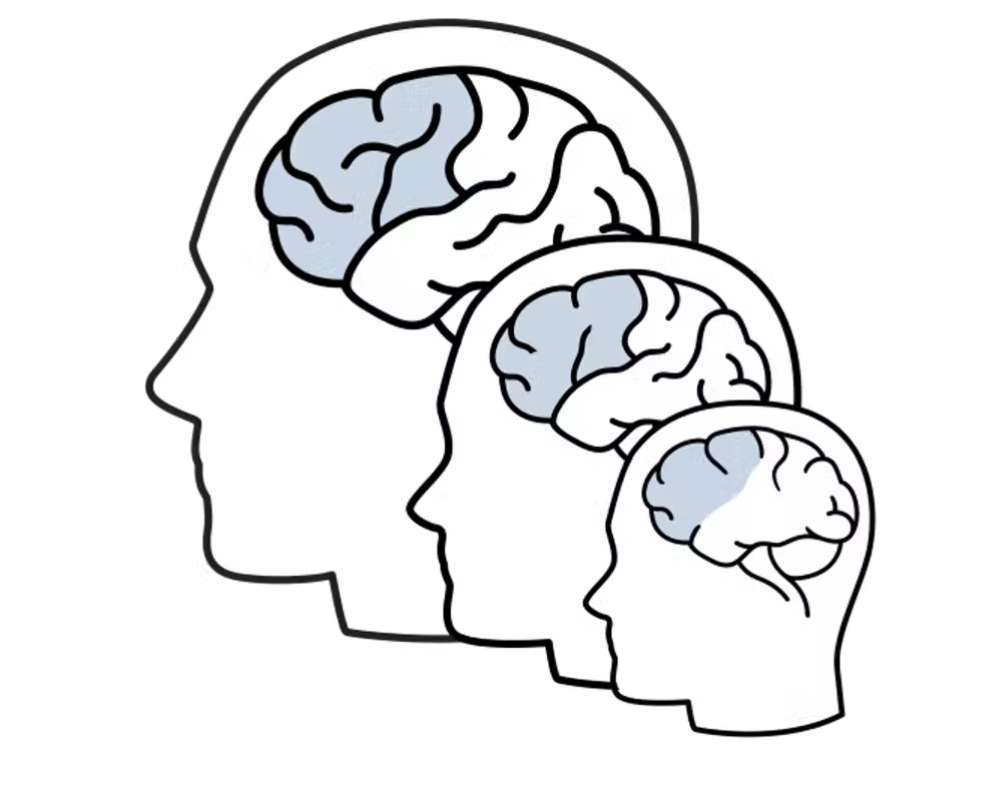 Le cortex préfrontal, qui héberge des fonctions cognitives complexes (en bleu), compte parmi les régions cérébrales qui subissent la plus longue maturation. © www.brainexplorer.net, Author provided (no reuse)