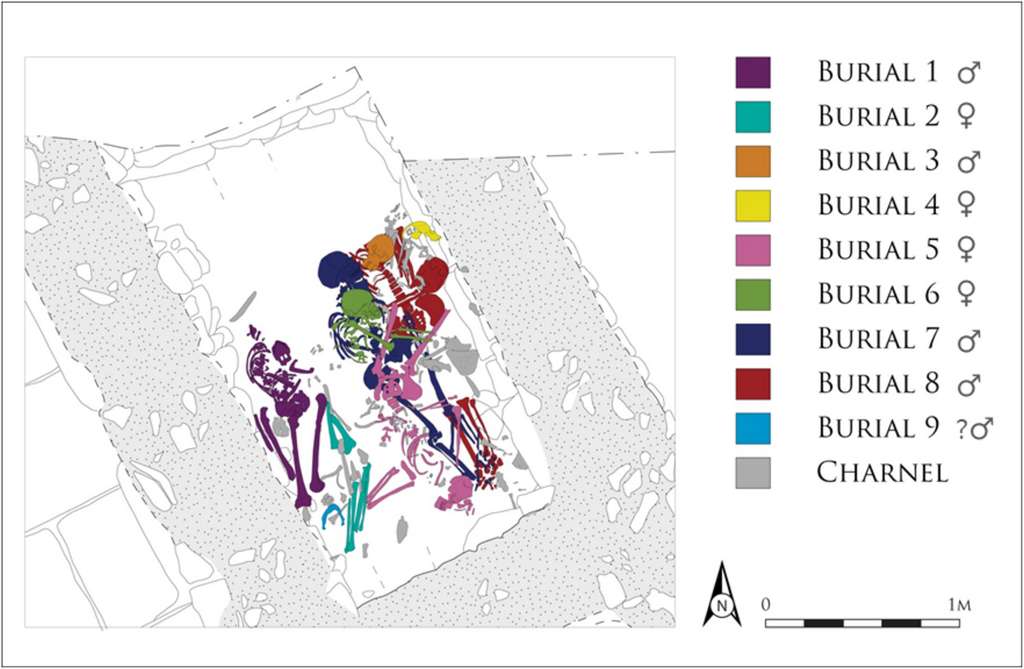 Les restes de neuf adultes, ici schématisés en couleur, ont été trouvés dans les latrines. © City of Edinburgh Council 2014, Czére et al., 2022