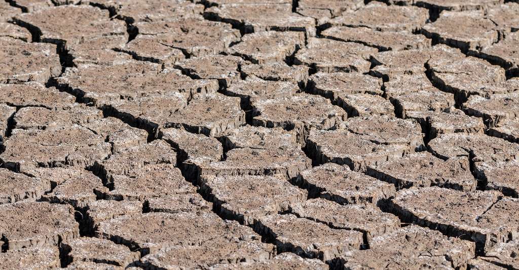 Lorsque les sols sont secs, ils se craquellent. La peau, elle, perd d’abord en élasticité. © Felix_Broennimann, Pixabay, CC0 Creative Commons