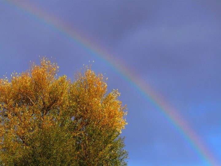 L'arc-en-ciel et la décomposition de la lumière L'arc-en-ciel et la décomposition de la lumière