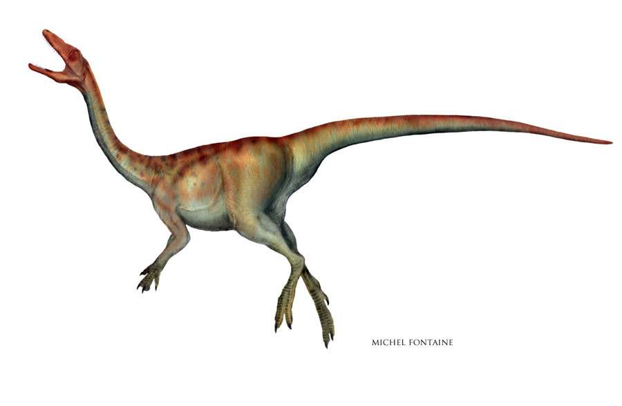 Procompsognatus Procompsognatus
