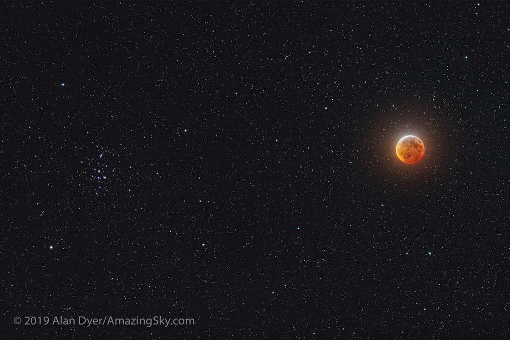 Lune rousse en rapprochement de la Ruche, le bel amas de jeunes étoiles Messier 44 visible à gauche. © Alan Dyer