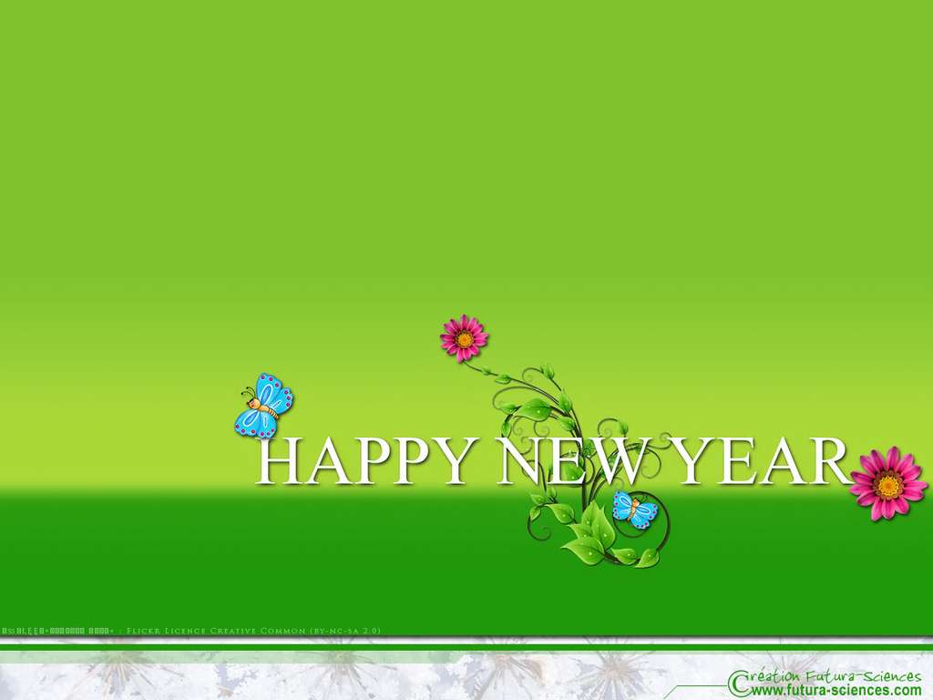Bonne année, que 2016 soit écologique Bonne année, que 2016 soit écologique