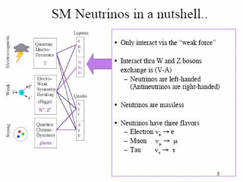 Les neutrinos dans le modèle standard. A chaque neutrino est associé un autre lepton comme l'électron © Janet M. Conrad