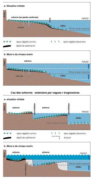 Les Consequences De L Elevation Du Niveau De La Mer Sur Les Cotes Basses A Maree Dossier