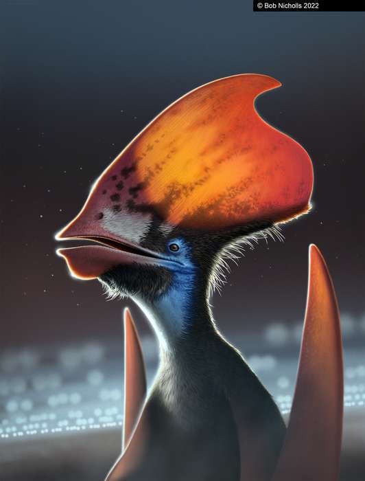 Les ptérosaures étaient bien plus colorés que ce que les chercheurs ont supposé pendant des décennies ! © Royal Belgian Institute of Natural Sciences