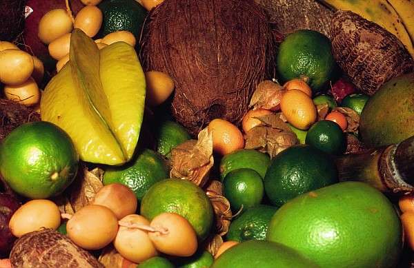 Les fruits exotiques : dattes, citrons et noix de coco Les fruits exotiques : dattes, citrons et noix de coco