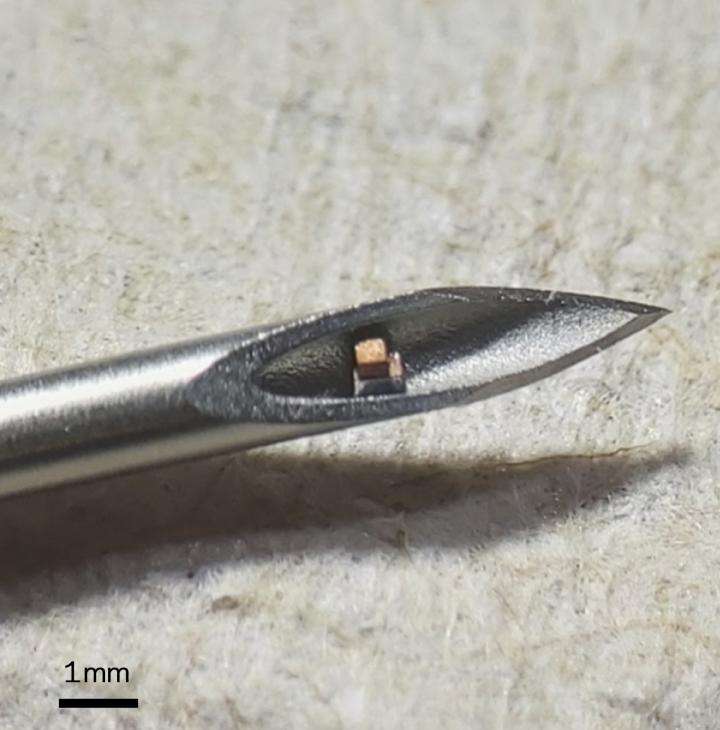 The chip is so small that it fits in a hypodermic needle.  © Chen Shi, Columbia Engineering