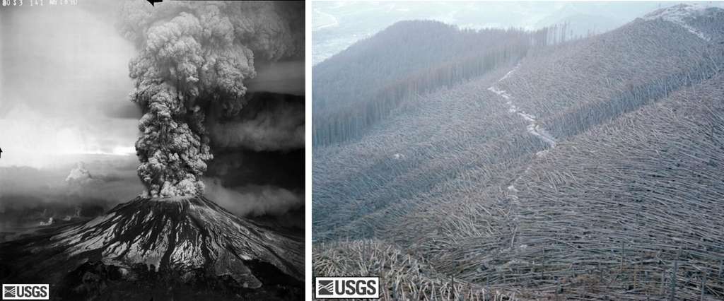 A gauche, le versant sud du Mont St Helens durant la phase paroxysmale, après l'éruption du 18 mai 1980. A droite, la forêt de North Fork Toutle, dévastée, le 22 août 1980. Crédit USGS/Cascades Volcano Observatory