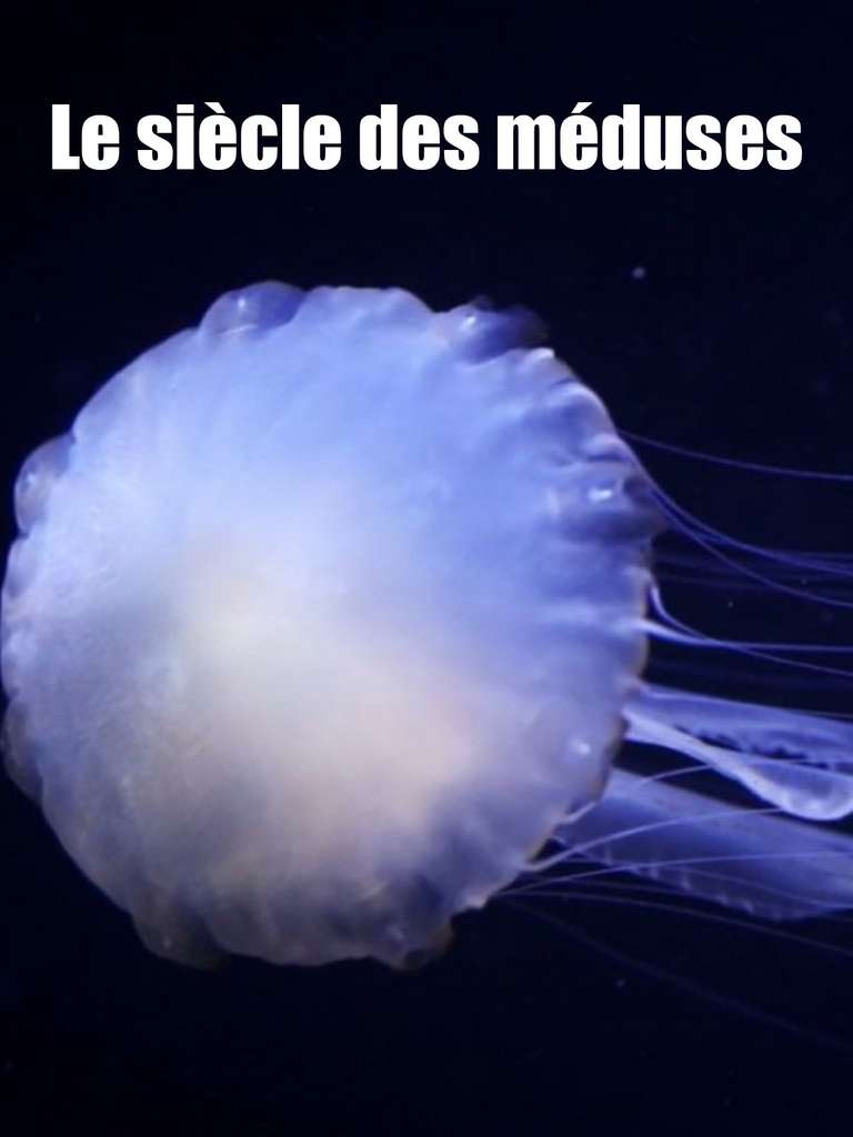 Le siècle des méduses © Amazon