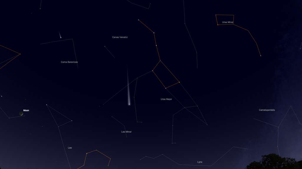 Position de la comète Neowise le soir du 24 juillet. Elle est visible entre les deux pattes arrière de la Grande Ourse. Ces sept étoiles les plus brillantes composent l'astérisme de la Grande Casserole (en orange), facile à repérer dans la nuit. © SkySafari