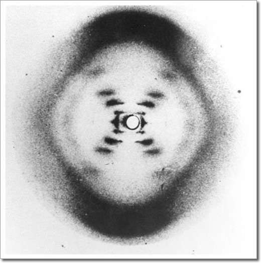 1953 : découverte de la structure de l'ADN en double hélice