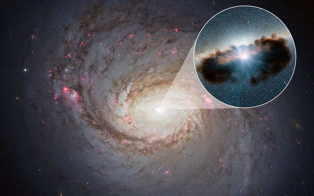 En arrière-plan, la galaxie spirale M77 et une image d'artiste faisant le zoom vers son noyau actif qu'occupe un trou noir supermassif entouré d'un tore de poussière enveloppant un disque d'accrétion. © Nasa