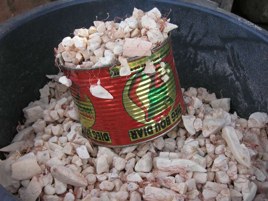 Le pain de singe, la pulpe du fruit de baobab Le pain de singe, la pulpe du fruit de baobab