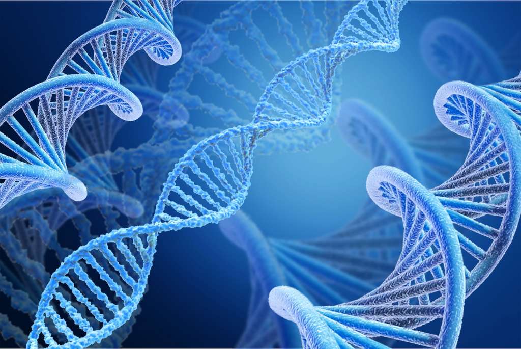 Certains d'entre nous seraient porteurs d'un fragment d'ADN protecteur. © BillionPhotos.com, Adobe Stock