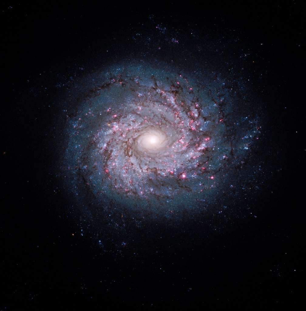 NGC 3982 NGC 3982