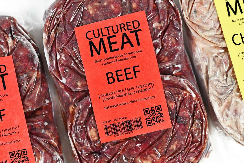 Comment se fabrique la viande artificielle ? Peut-on parler de « viande » ? ou d'aliment transformé ? © Firn, Adobe Stock