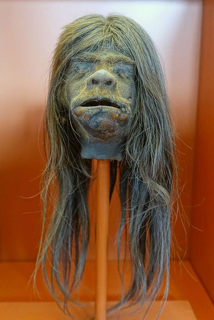 Cette contrefaçon de tsantsa est trahie entre autres par sa peau grise et sa bouche ouverte. © Daderot, Redpath Museum