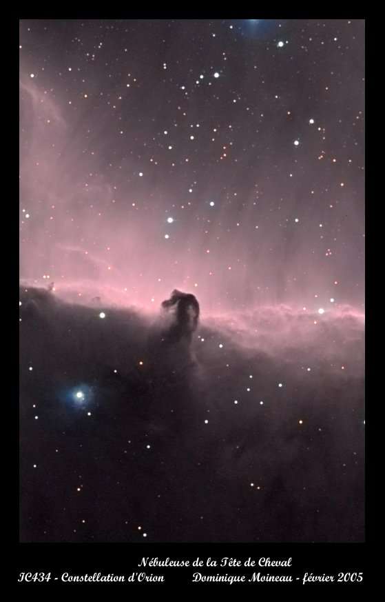 IC434 - La Tête de Cheval IC434 - La Tête de Cheval